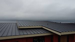 Roof Coating Services in Web, AL